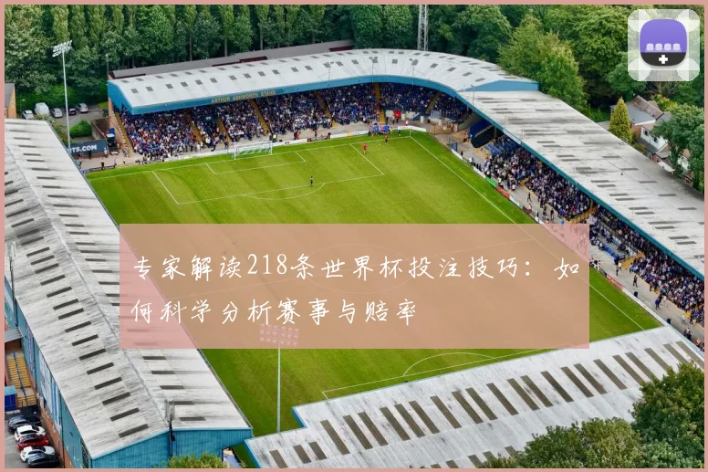专家解读218条世界杯投注技巧：如何科学分析赛事与赔率