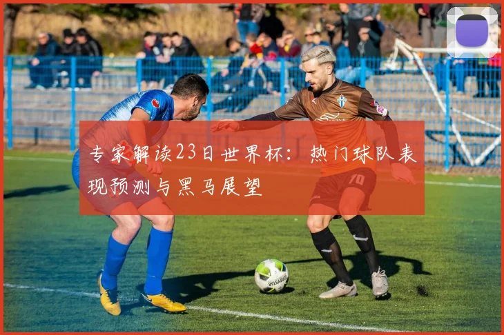 专家解读23日世界杯：热门球队表现预测与黑马展望