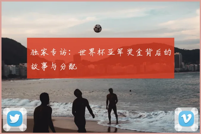 独家专访:世界杯亚军奖金背后的故事与分配