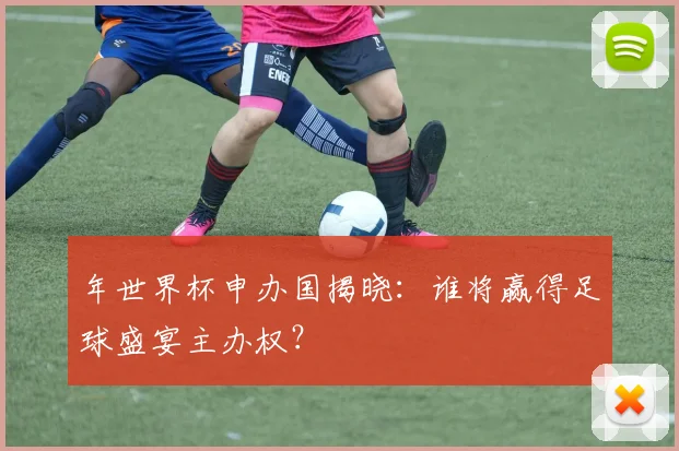 年世界杯申办国揭晓：谁将赢得足球盛宴主办权？