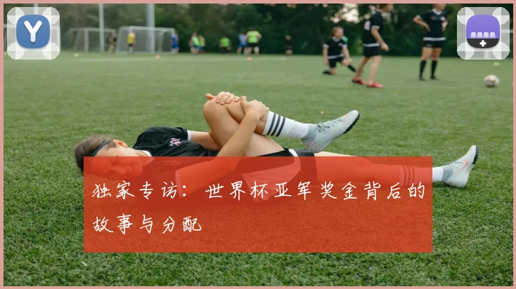 独家专访:世界杯亚军奖金背后的故事与分配